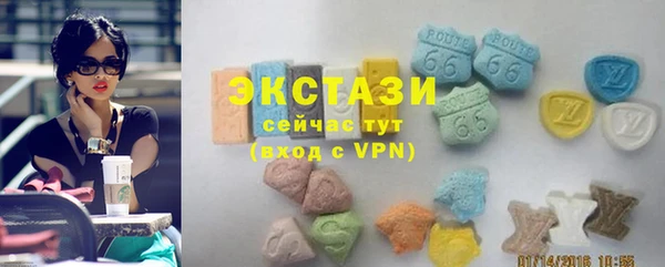 мдпв Богородицк