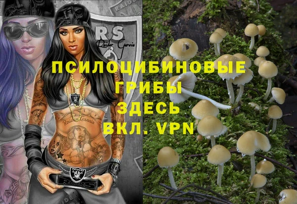 мдпв Богородицк