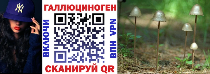 Галлюциногенные грибы прущие грибы  Горячеводский 